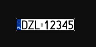 Rejestracja dzl