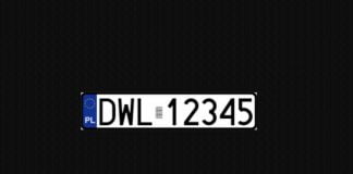 Rejestracja DWL