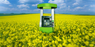 Biopaliwa - czy biodiesel i bioetanol mają przyszłość w Polsce?
